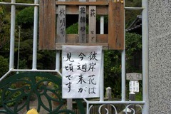 120928±Ñ¾¡»û¥Ò¥¬¥ó¥Ð¥Ê
