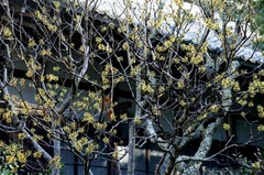 150219�߳л��ޥ󥵥�