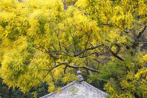 100303��޻��ߥ⥶