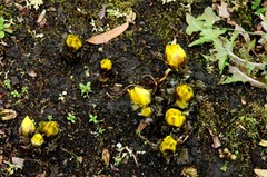 120215�繪��ʡ����