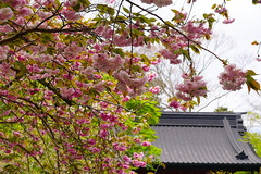 220416̯�ܻ��䥨������