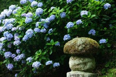 110709̯�ܻ���������