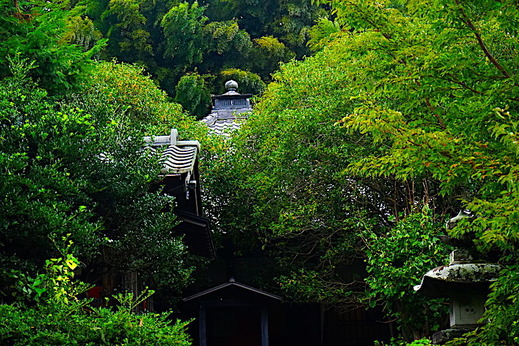 191015�߱�������⥯����