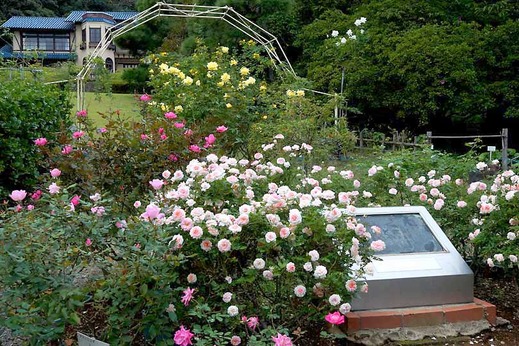 131022ʸ�شۥХ�3