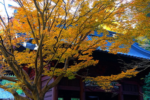 161202̯�ܻ�����3