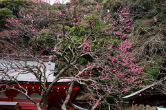 170108����ŷ���ҥ����Х�1