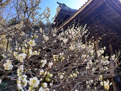 250220̯�ܻ�����3