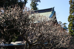 170126�߳л��ϥ��Х�3