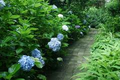 090704��������������