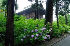 120622�߳л�����������