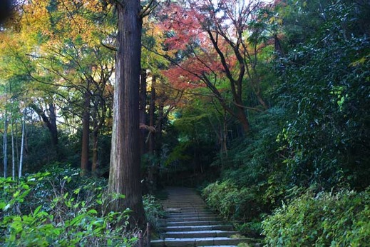 111224����������1