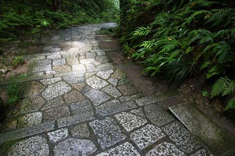 090704��������ƻ