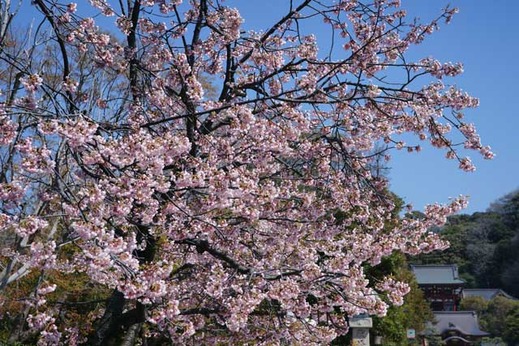 120405ȬȨ�ܥ�����