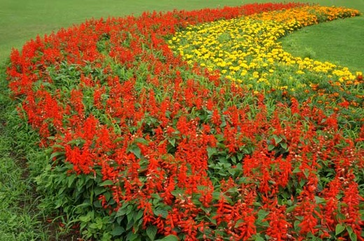 130622�ե���󥿡�������ӥ����ޥ꡼�������