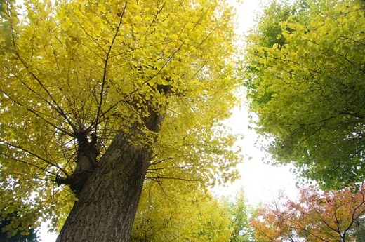 121130�߳л�����2