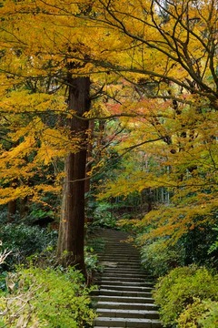 121221����������5