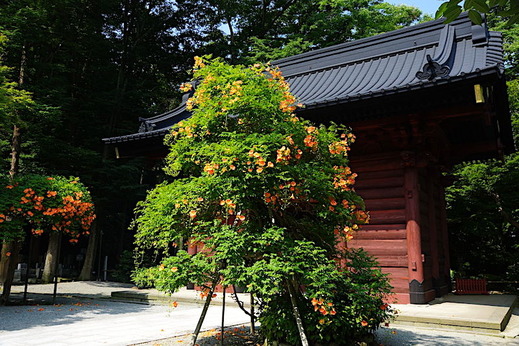 170709̯�ܻ��Υ����󥫥���3