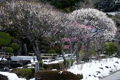 140211Ĺë»û¥¦¥á1
