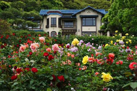 100519����ʸ�شۥХ�