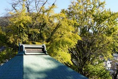 121116Ĺ���������祦2