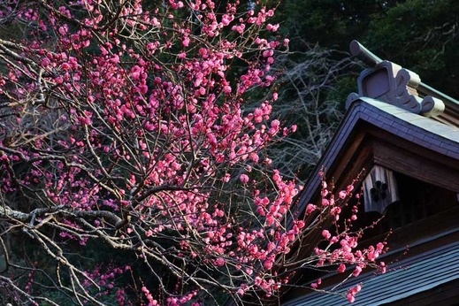 140126����ŷ������2