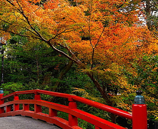 181128�ᲬȬȨ�ܹ���