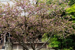 140416̯�ܻ��䥨������