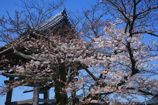 120405������������