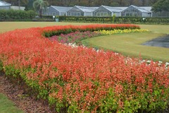 131020�ե����󥿡�1