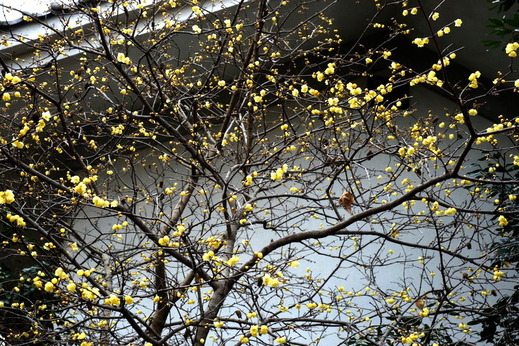 180128�����������Х�1