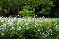 150505̯�ܻ����㥬