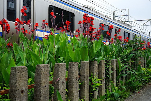 190724���ܲ��������