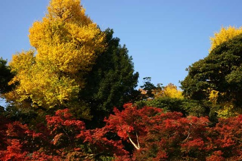 101127Ĺë������1