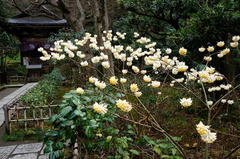 160321�߳л��ߥĥޥ�