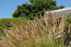 091011���ܱ�������