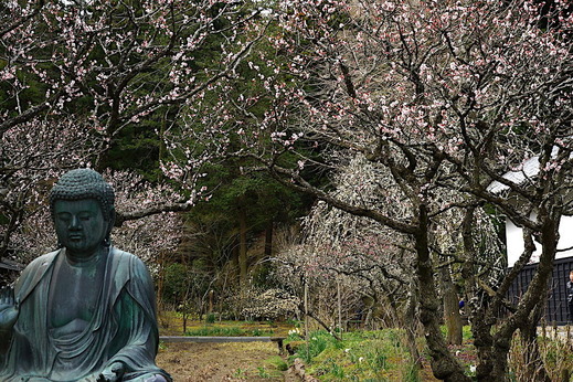 170312��Ļ�����1