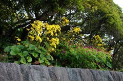 111115���ܱ��ĥ�֥�4