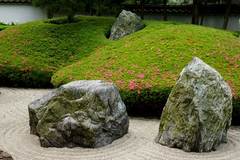 100526����������