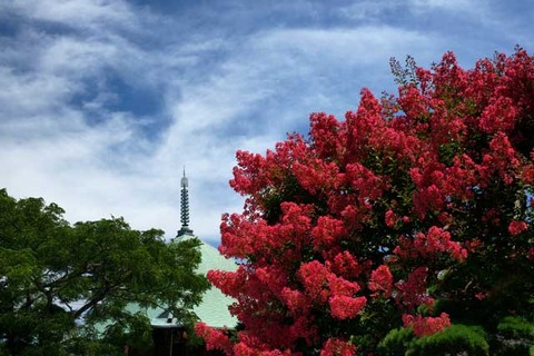 100728�ܳл����륹�٥�2