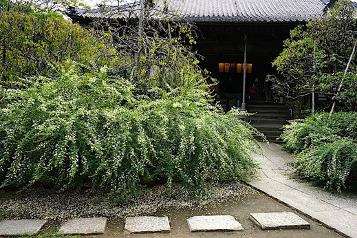 D190921�������ϥ�1