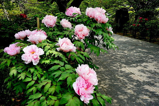 190422��Ĺ���ܥ���1