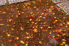 141221����������3