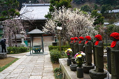 180226¾ïΩ»û¥·¥À¥ì¥¦¥á2