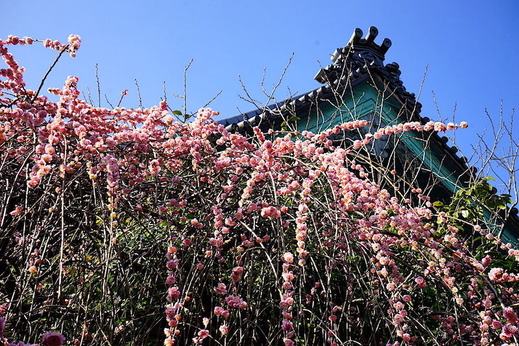 230307�����������쥦��2