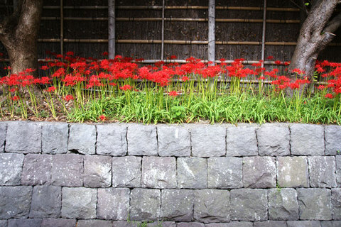 080927ȬȨ�ܥҥ���Х�