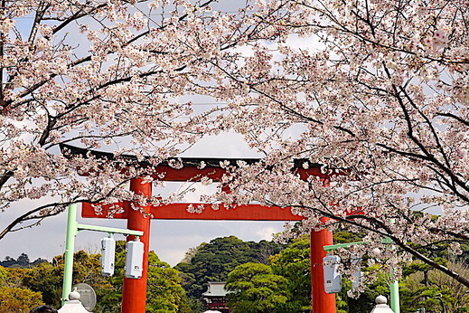 230330�ʳ륵����2