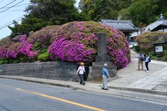 130429���ܱ��ĥĥ�1