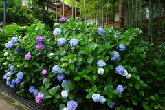 170626�߳л���������4