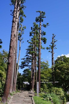 110914��Ĺ��ŷ����