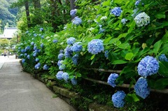120703±ß³Ð»û¥¢¥¸¥µ¥¤£³
